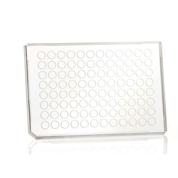 Artikelbild 1 des Artikels FrameStar 96 Next Generation Sequencing Lid, clear
