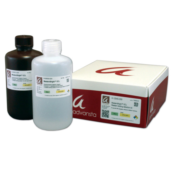 Artikelbild 1 des Artikels WesternBright Chemilumineszenz Substrat für Film