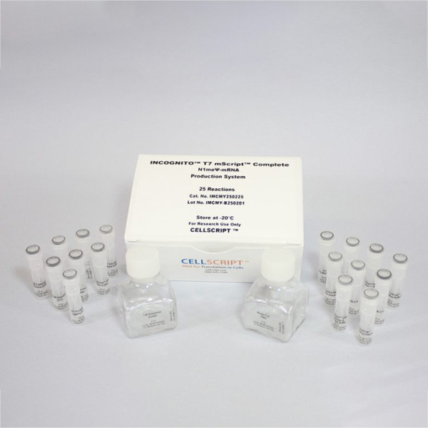 Artikelbild 1 des Artikels INCOGNITO™ T7 mScript™ Complete N1me psi