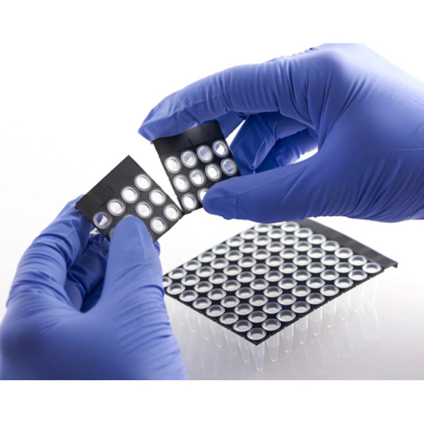 Artikelbild 1 des Artikels FrameStar 96 PCR Plate, clear Wells, black Frame