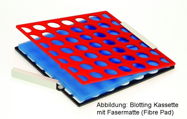 Artikelbild 1 des Artikels EasyPhor PAGE WetBlotter Maxi Kassette