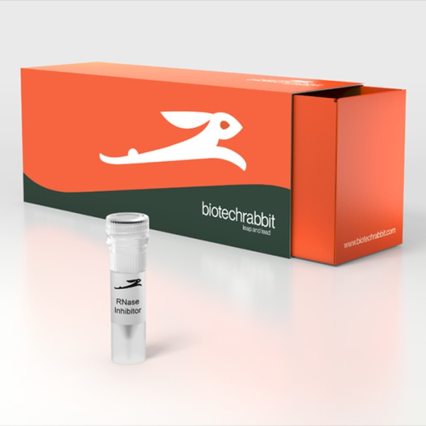 Artikelbild 1 des Artikels RNase Inhibitor, 40 U/µl